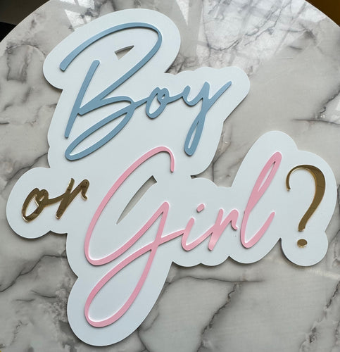 Boy or Girl? || Double-Layer || Baby Shower || Gender Reveal