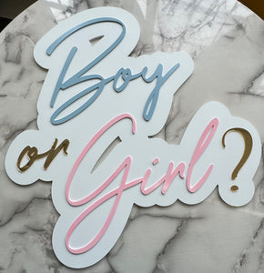 Boy or Girl? || Double-Layer || Baby Shower || Gender Reveal