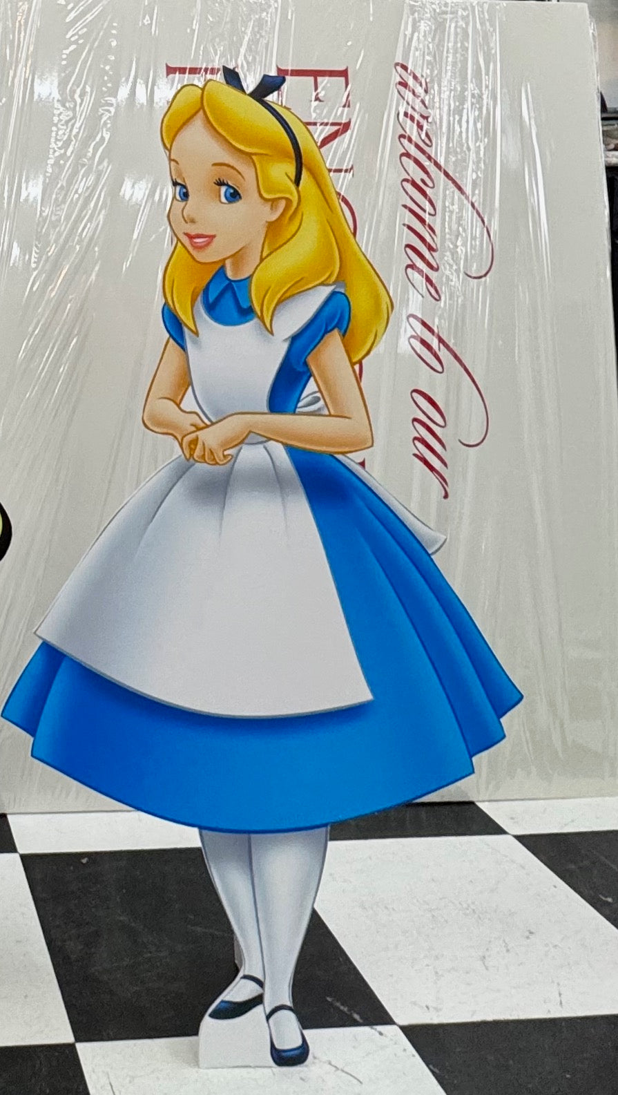 Wonder Land Story Book Vinyl on Foam || Backdrop foams || Photo prop decoration || Party decoration