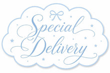 Load image into Gallery viewer, Special Delivery Vinyl on Foam